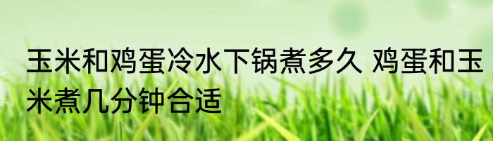 玉米和鸡蛋冷水下锅煮多久 鸡蛋和玉米煮几分钟合适