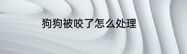 狗狗被咬了怎么处理