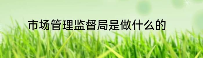 市场管理监督局是做什么的