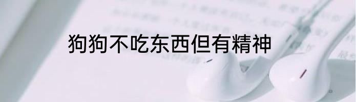 狗狗不吃东西但有精神