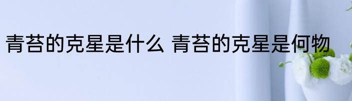 青苔的克星是什么 青苔的克星是何物
