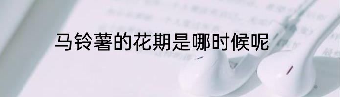 马铃薯的花期是哪时候呢