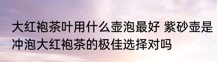 大红袍茶叶用什么壶泡最好 紫砂壶是冲泡大红袍茶的极佳选择对吗