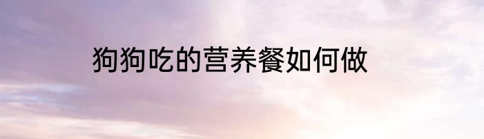 狗狗吃的营养餐如何做