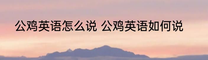 公鸡英语怎么说 公鸡英语如何说