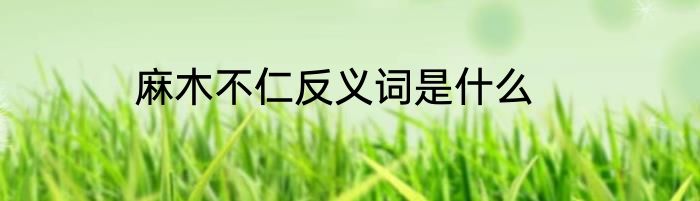 麻木不仁反义词是什么