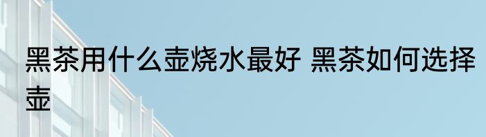 黑茶用什么壶烧水最好 黑茶如何选择壶