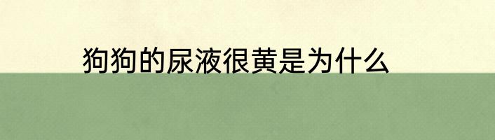 狗狗的尿液很黄是为什么
