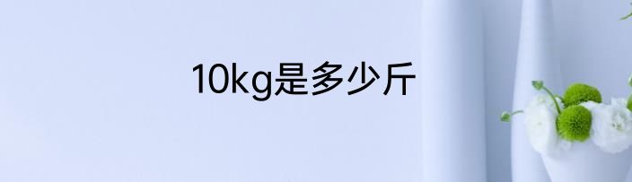 10kg是多少斤