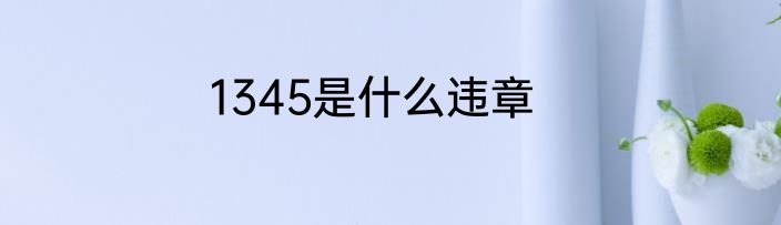 1345是什么违章