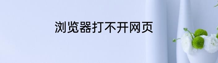 浏览器打不开网页