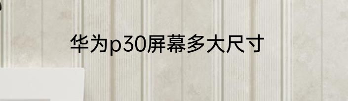 华为p30屏幕多大尺寸