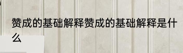 赞成的基础解释赞成的基础解释是什么