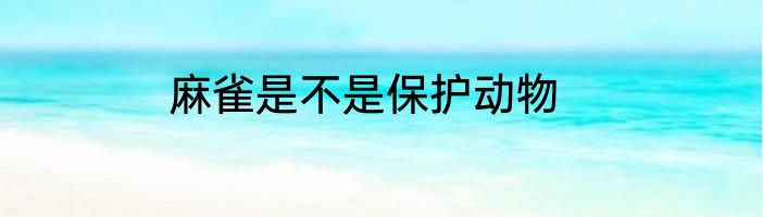 麻雀是不是保护动物