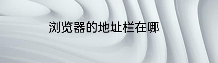 浏览器的地址栏在哪