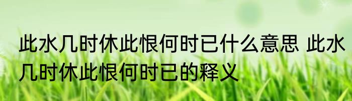 此水几时休此恨何时已什么意思 此水几时休此恨何时已的释义