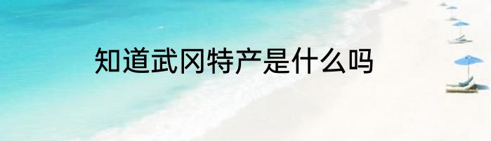 知道武冈特产是什么吗