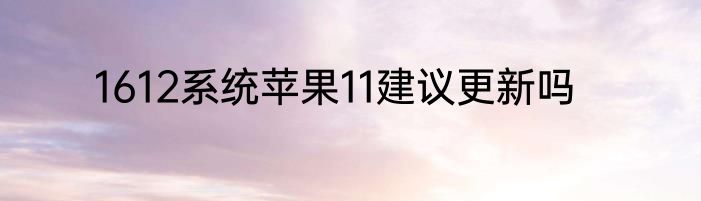 1612系统苹果11建议更新吗