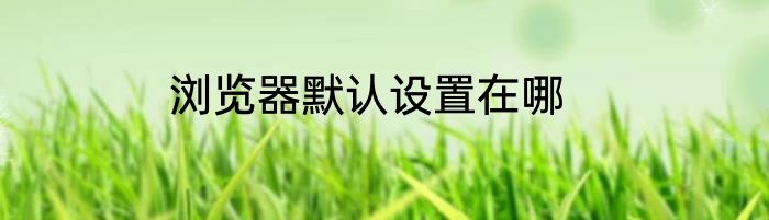 浏览器默认设置在哪