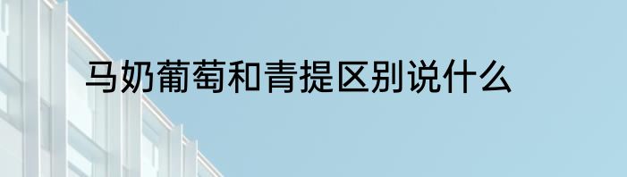马奶葡萄和青提区别说什么