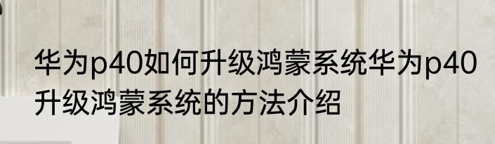 华为p40如何升级鸿蒙系统华为p40升级鸿蒙系统的方法介绍