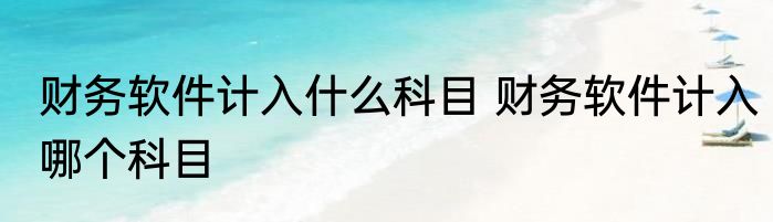 财务软件计入什么科目 财务软件计入哪个科目