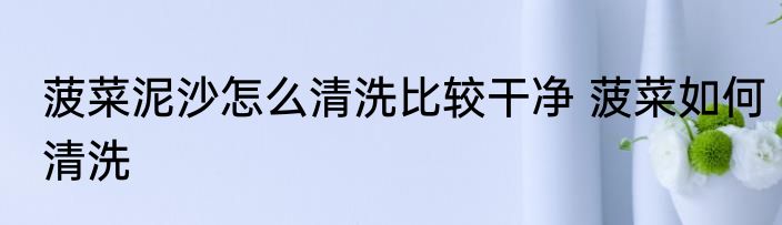 菠菜泥沙怎么清洗比较干净 菠菜如何清洗