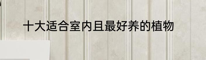 十大适合室内且最好养的植物