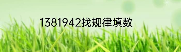 1381942找规律填数
