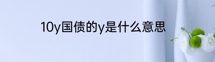 10y国债的y是什么意思