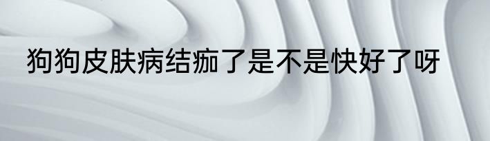 狗狗皮肤病结痂了是不是快好了呀
