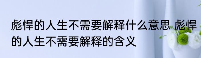 彪悍的人生不需要解释什么意思 彪悍的人生不需要解释的含义