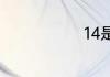 14是什么星座