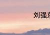 刘强东身价多少