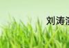 刘涛演的电视剧