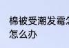 棉被受潮发霉怎么处理 棉被受潮发霉怎么办