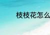 枝枝花怎么养才开花不死掉