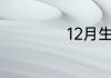 12月生是什么星座
