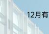 12月有哪些重要节日
