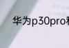 华为p30pro和p20pro什么区别
