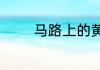 马路上的黄色网格线是什么