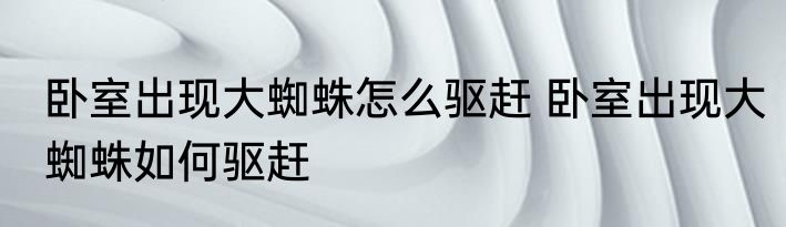 卧室出现大蜘蛛怎么驱赶 卧室出现大蜘蛛如何驱赶
