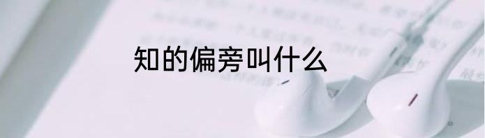 知的偏旁叫什么