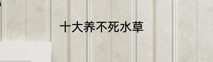 十大养不死水草