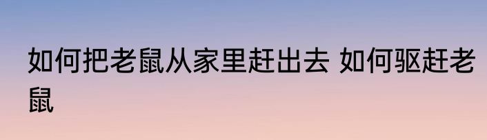 如何把老鼠从家里赶出去 如何驱赶老鼠