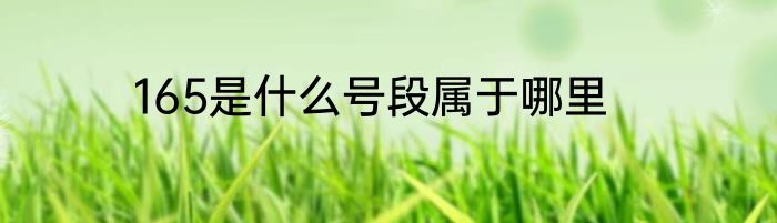 165是什么号段属于哪里