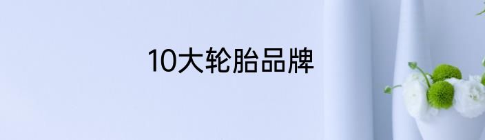 10大轮胎品牌
