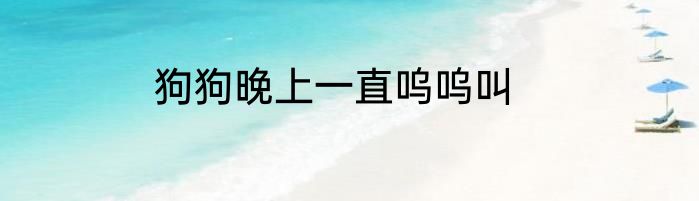 狗狗晚上一直呜呜叫