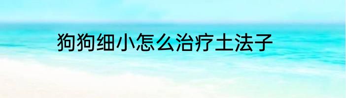 狗狗细小怎么治疗土法子