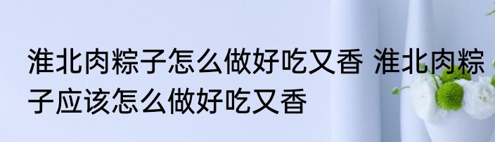 淮北肉粽子怎么做好吃又香 淮北肉粽子应该怎么做好吃又香